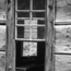 image09